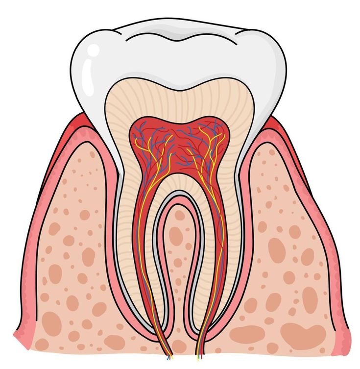 Dental clinic in madinaguda